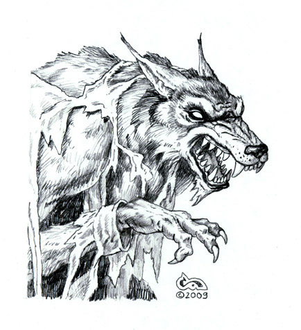 werewolf_2_drawing